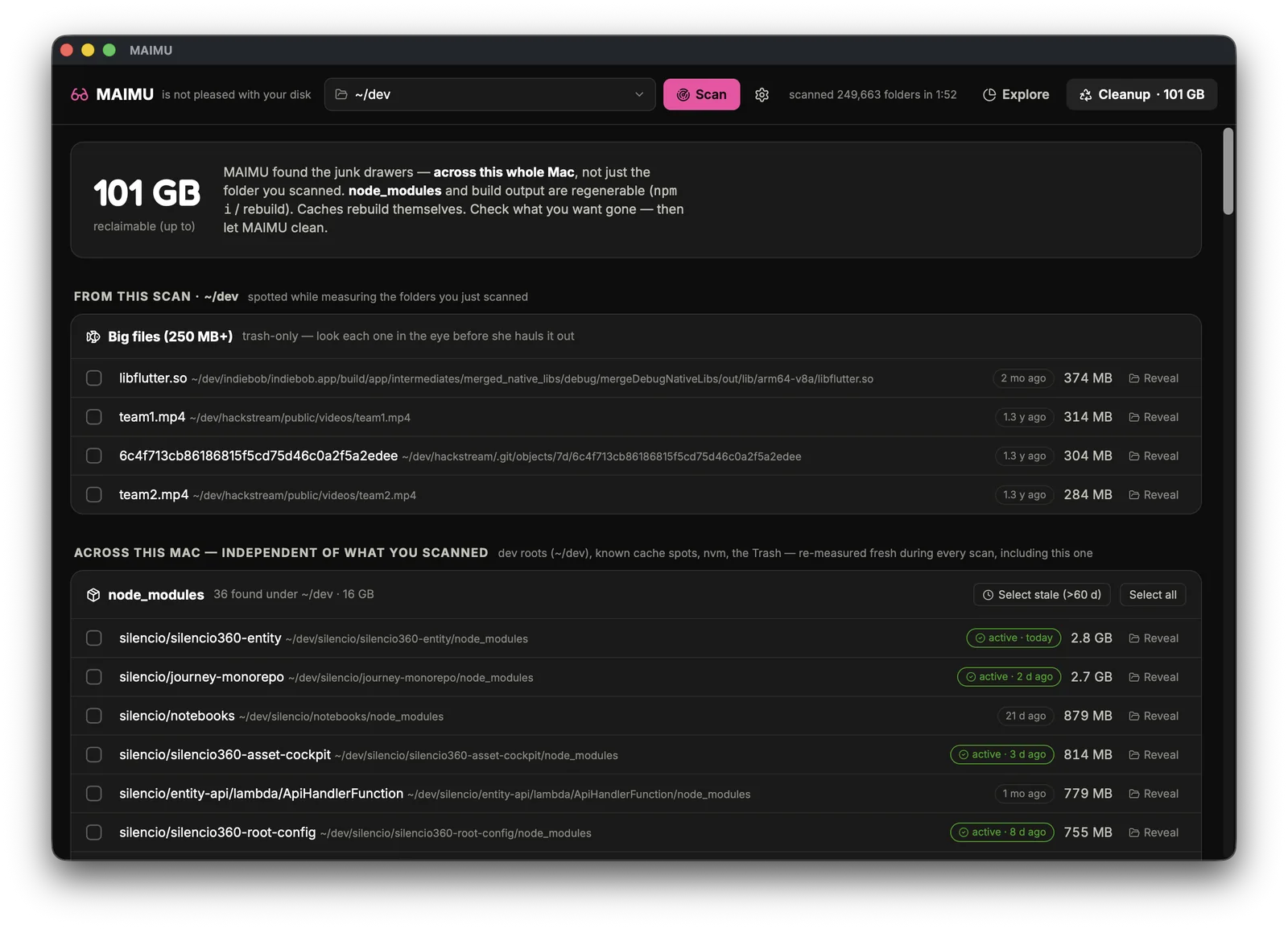 One real dev Mac. 101 GB reclaimable. — MAIMU